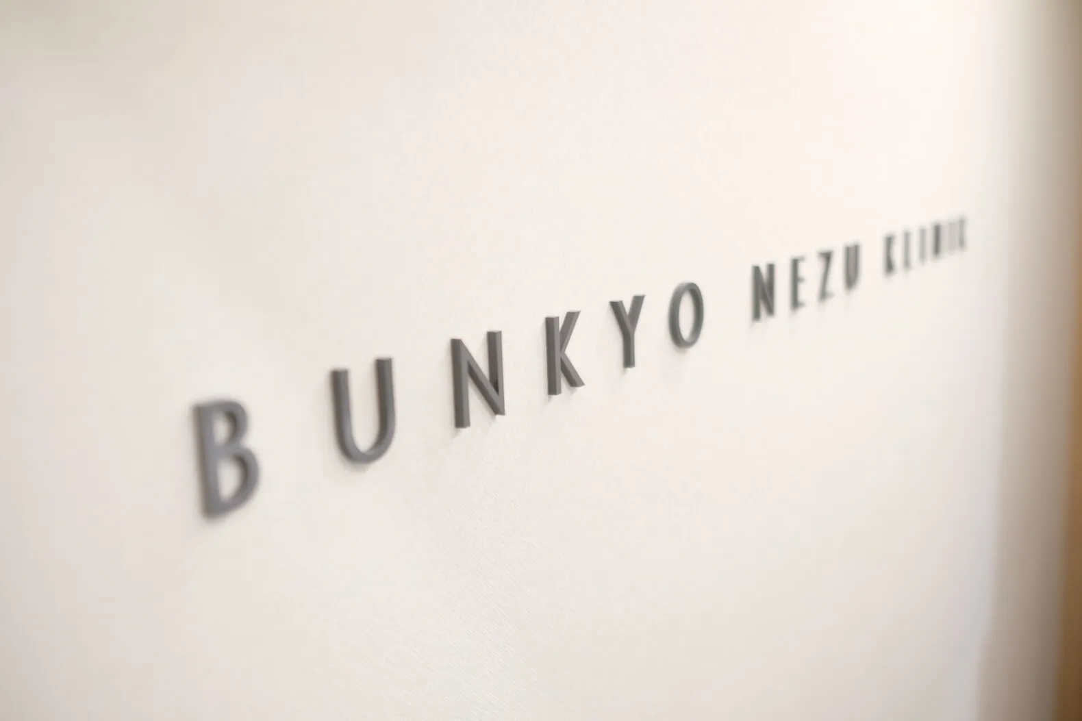 BUNKYO NEZU KLINIK | GARAN デザイン・設計実績